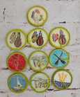 Bsa Boy Scout Merit Badges  Pre-owned