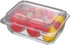 100 Pack Clear Plastic Hinged Food Container Disposable Plastic To Go Containers