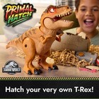 Jurassic World Interactive Toy Dinosaur   Egg  Hatch   Train Your Own Baby Dino 