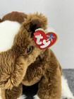 Ty Beanie Buddy Hoofer The Horse Plush 13  Stuffed Animal With Tag