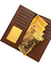 Wallet    for Goldbacks   Barter Coins - Holds  1 5 10 25 50 Goldback Gold Notes