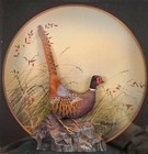 Vintage Pheasant Game Bird Diorama  J  Q  Whipple Decoy Carving Hunting   5