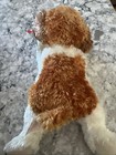 Ty Beanie Baby - Sampson The Puppy Dog  7 5 Inch  Mwmts Stuffed Animal Toy