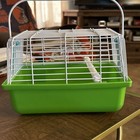Prevue Pet Products Travel Cage For Birds Small Animals Green  9 x5 6 x6 1 