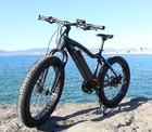 Monark Springer Fat Bike Fork  fork Only Bike Not Included 