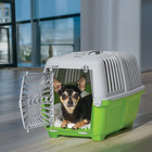 19-inch Pet Carrier Dog Cat Small Animal Plastic Door Travel Kennel Green New