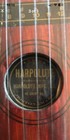 1910s Harpolute Table Zither  17-string Chordless Zither  It Plays