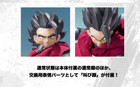 Bandai S h figuarts Giblet Figure Dragon Ball Legends  Jp Presale