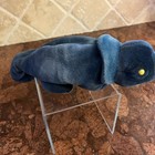Ty Rainbow The Chameleon 1997 Beanie Baby