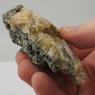 Ruck s Pit Calcite Clam Fossil - Mercenaria Permagna - Ft  Drum  Florida