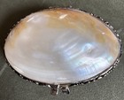 Mother Of Pearl Trinket Box Pills Jewelry Clam Shell Hinged Natural 4    Ivory