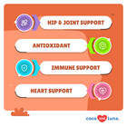 Turmeric For Dogs - Anti Inflammatory  Pain Relief With Curcumin   Bioperine