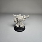 Brigadier General Gunnbjorn  x1  Trollbloods  hordes  Assembled