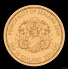 Sealand 2024 Uav Operator 10 Dollars