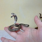 Schleich 14733 Cobra Snake Figurine Toy 2 Pcs lot