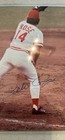 Autographed Signed Photo Of Pete Rose  Comes W  Coa 