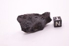 Canyon Diablo Iron Meteorite 33 3 Grams 1  5 Inch  Killer Piece  Cleaned Beauty 