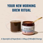 3-pack Beyond Brew Mushroom Coffee 7-in-1 Cacao Energy focus gut mental 