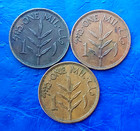 Lot Of 3 Israel Palestine British Mandate 1 Mil Coins 1942  1943   1946 Xf