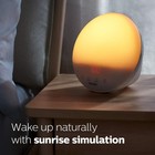 Wake Up Light Sunrise Sunset Simulation Fm Radio Lamp Philips Hf3520 60