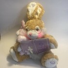 2007 Dan Dee Animated Light Up Bunny Storytelling  true Story Of Easter  Works  