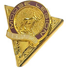 Moose Club Collar Tips - Moose Legion Service - Gold Colored Collar Tips