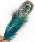 50 Pcs Natural Pheasant Plumage Feathers 2-3 Inches Plumage Feathers For Sewing