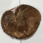 Vintage Baseball Catchers Glove  Mitt - Unbranded