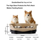 Elevated Base Dog Bowl Cat Bowl No Spill Raised Dog Food Water Bowl Protect Neck