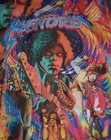 Vintage Jimi Hendrix Psychedelic Dragonfly Swim Trunks Surf Board Shorts Size 36