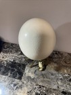Large Genuine Ostrich Egg Shell Blown Out Hollow Egg Crafts Decor