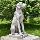 Dog Statue 28  h Large Labrador Retriever Statues Mgo Sitting Guardian Labrador 