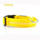 Safety Dog Led Collar