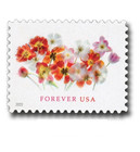 Mint 2022 Usps Tulips Forever Stamps Scott  5681  mnh  - 100 Pcs Stamps Total