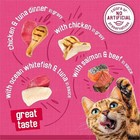 Purina Friskies Gravy Wet Cat Food Variety Pack  Surfin    Turfin    Pack Of 40  5 5