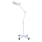 White 5x Led Magnifier Floor Lamp - Rolling Wheel - Magnifying Floor Lamp