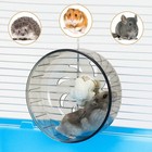 Silent Hamster Exercise Wheel 5 2 Inch Anti-skid Spinner For Small Pets