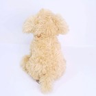 Gund Nayla Designer Pups Cockapoo Dog Plush 10 5  Shaggy Cream Puppy 2022