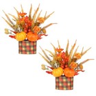 Pcs Fall Decor For Thanksgiving Autumn Home Table Fireplace 2 Orange-ab