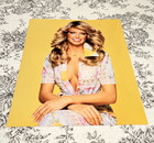 Farrah Fawcett Francisco Scavullo Fantasy Metallic Poster Outtake  3 