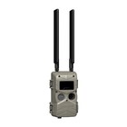 Cuddeback Tracks Low Glow Cell Camera Hunting