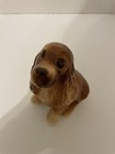 Vintage 1950   s Royal Copley Ceramic  Cocker Spaniel Sitting Dog 6 5    Figurine