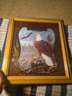 Old Milwaukee Beer Mirror Wildlife Series Ii Bald Eagle New Old Stock0 99