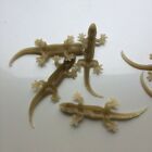   Pack Of 12  Fake Realistic Rubber Lizard Reptile Animal Toy