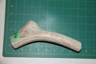 Large Upper Elk Antler Dog Chew  54   Bone Chews Moose Treats Deer 305