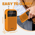 Am Fm Sw Portable Mini Radio D220 Pocket Radio Battery Powered Great Receiver Us
