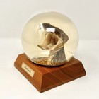 Vintage Taxidermy Western Diamondback Rattlesnake Rattle Snake Head Paperweight