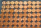 1959-2025 Uncirculated Lincoln Cent Collection 144 Coins - P d s  Mint Pennies