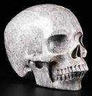 Huge 5 0  Picasso Jasper Carved Skull  Super Realistic  Crystal Healing