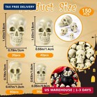 150pcs Mini Skull Heads  Miniature Skeleton Heads Figurines  Tiny Resin Skulls F